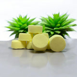 Lemongrass + Menthol Aromatherapy Shower Tabs by Copper Canyon Soap Co