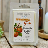 "Autumn Citrus Glow" Premier Boutique Candle Collection by Copper Canyon Soap Co