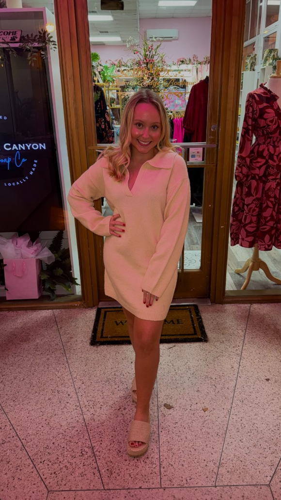 Avah Polo Long Sleeve Sweater Dress-Alpaca