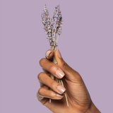 Lavender Vanilla .34 FL oz Before You Go Spray by Poo-Pourri