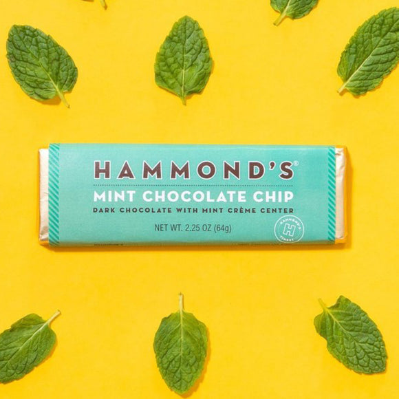 Mint Chocolate Chip Chocolate Candy Bars by Hammond's