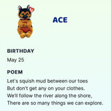 TY Beanie Bellies - Ace