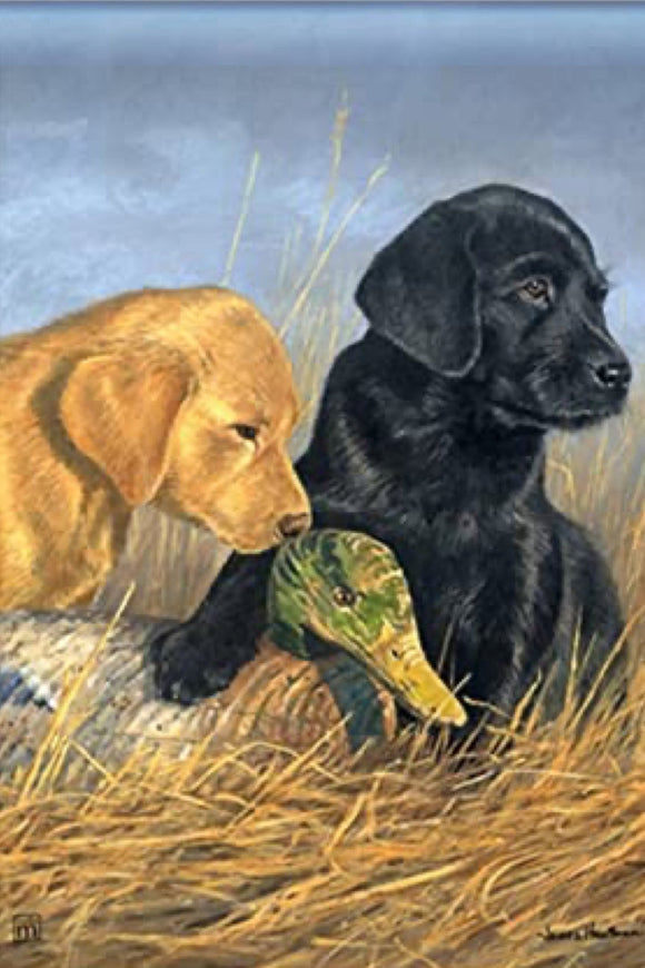Lab Puppies House Flag by Breeze Art