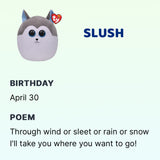 TY Squishy Beanie - Slush