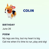 TY Beanie Babies - Colin