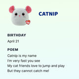 TY Squishy Beanie - Catnip
