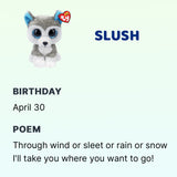 TY Beanie BOOS - Slush